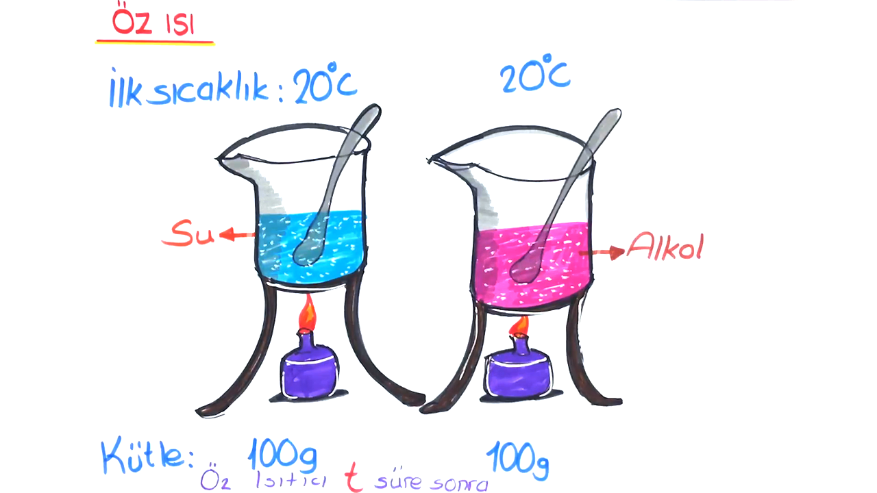 Tonguc Plus 8 Sinif Ozisi Konu Anlatimi