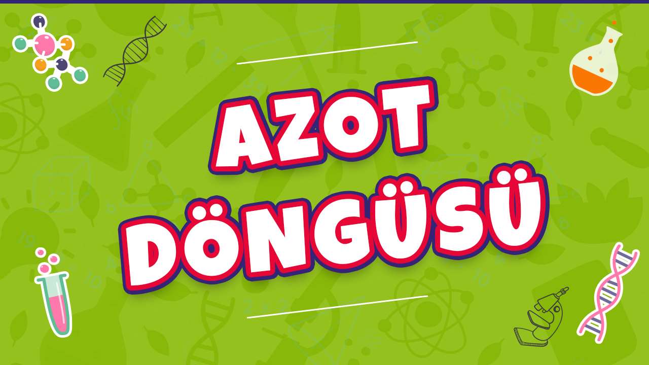 tongu-plus-10-s-n-f-su-d-ng-s-konu-anlat-m