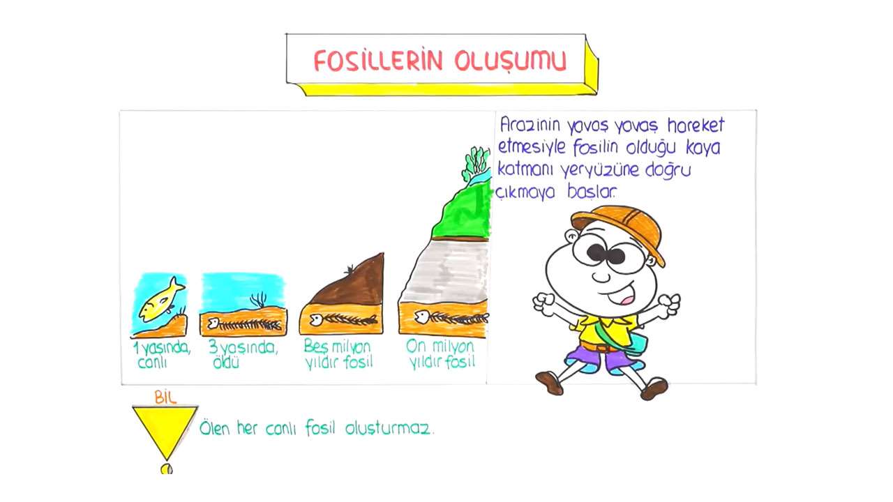 Tonguc Plus 4 Sinif Fen Bilimleri Yer Kabugu Ve Dunyamizin Hareketleri Konu Anlatimlari