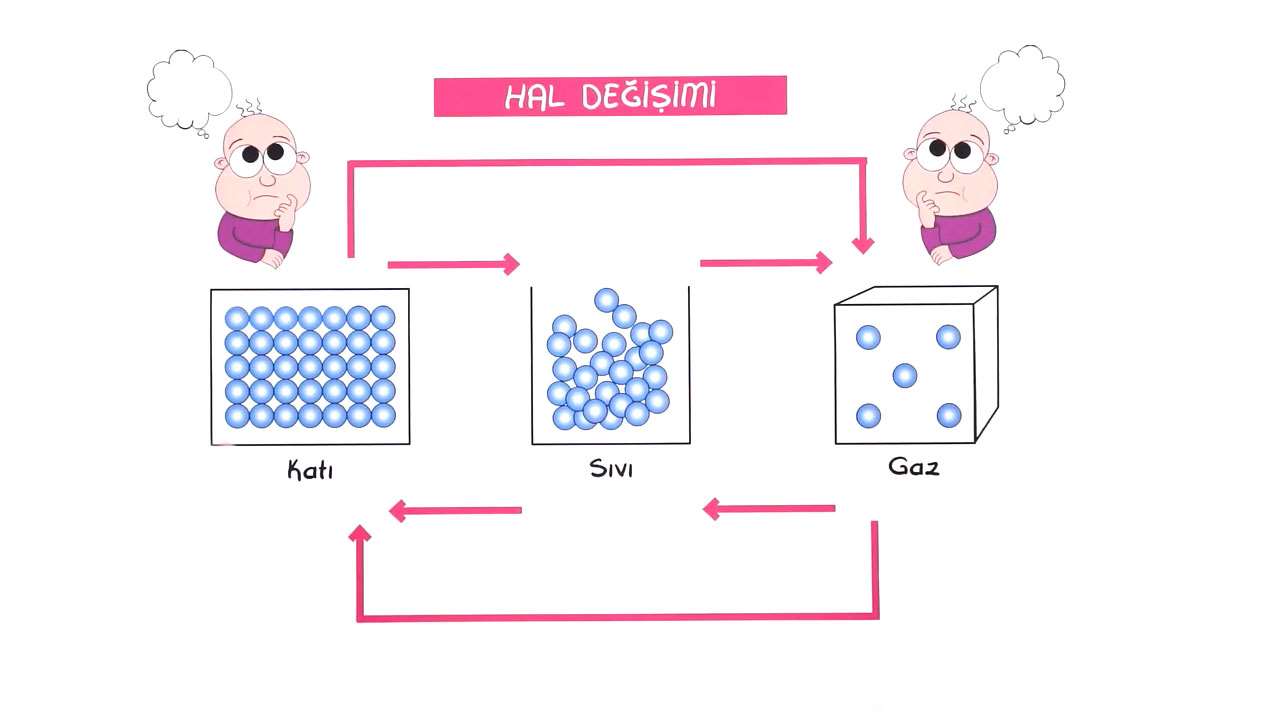 tonguc plus 8 sinif hal degisimi ve isi alisverisi konu anlatimi